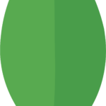 MongoDB